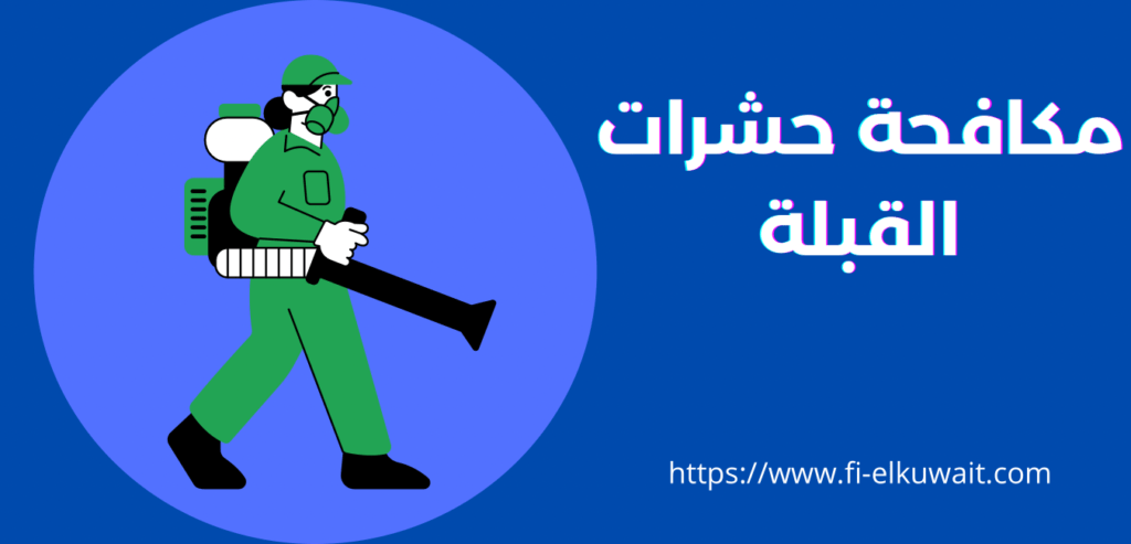 مكافحة حشرات القبلة 