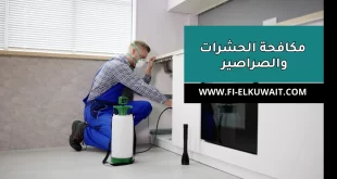 مكافحة الحشرات والصراصير